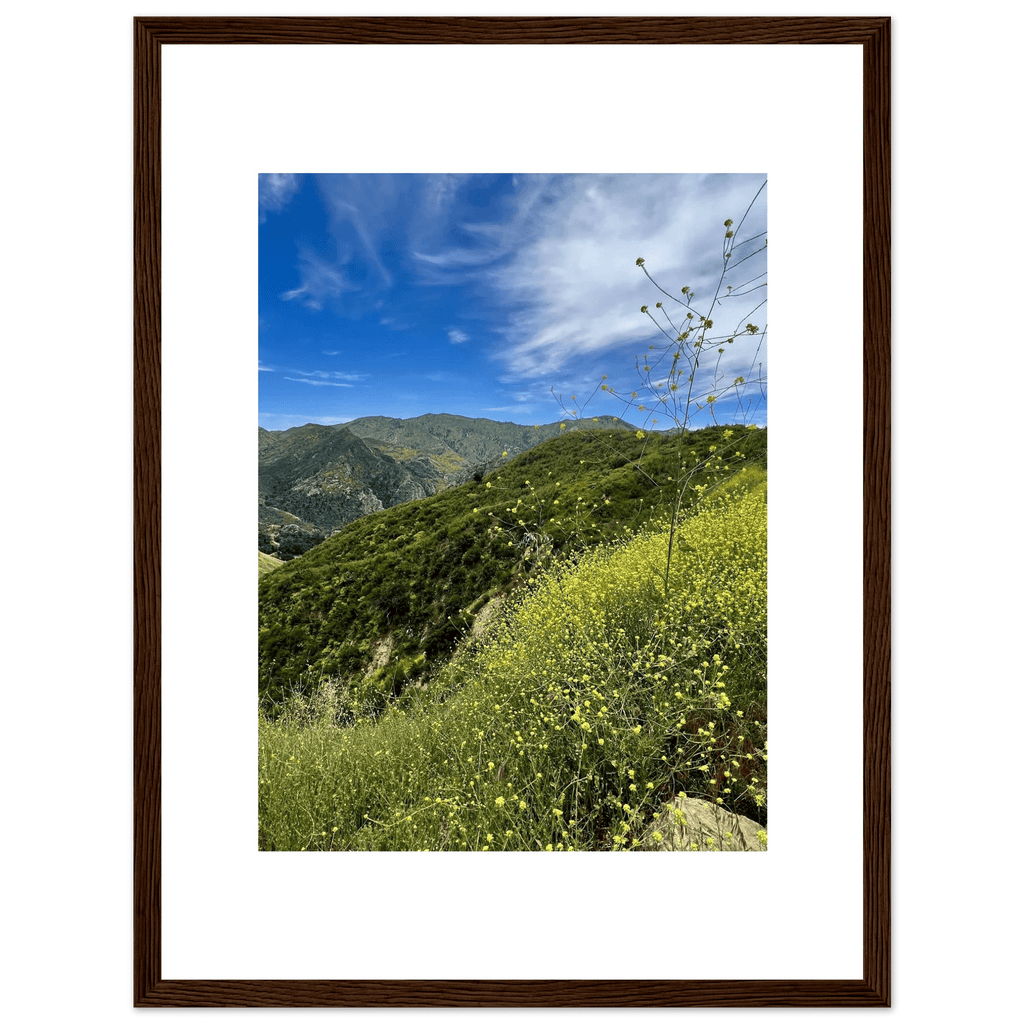 High-quality framed art print of Malibu Canyon in spring bloom wildflowers, California poster art by My Store, 15x20 cm.