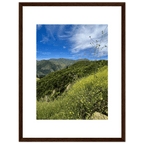 High-quality framed art print of Malibu Canyon in spring bloom wildflowers, California poster art by My Store, 15x20 cm.