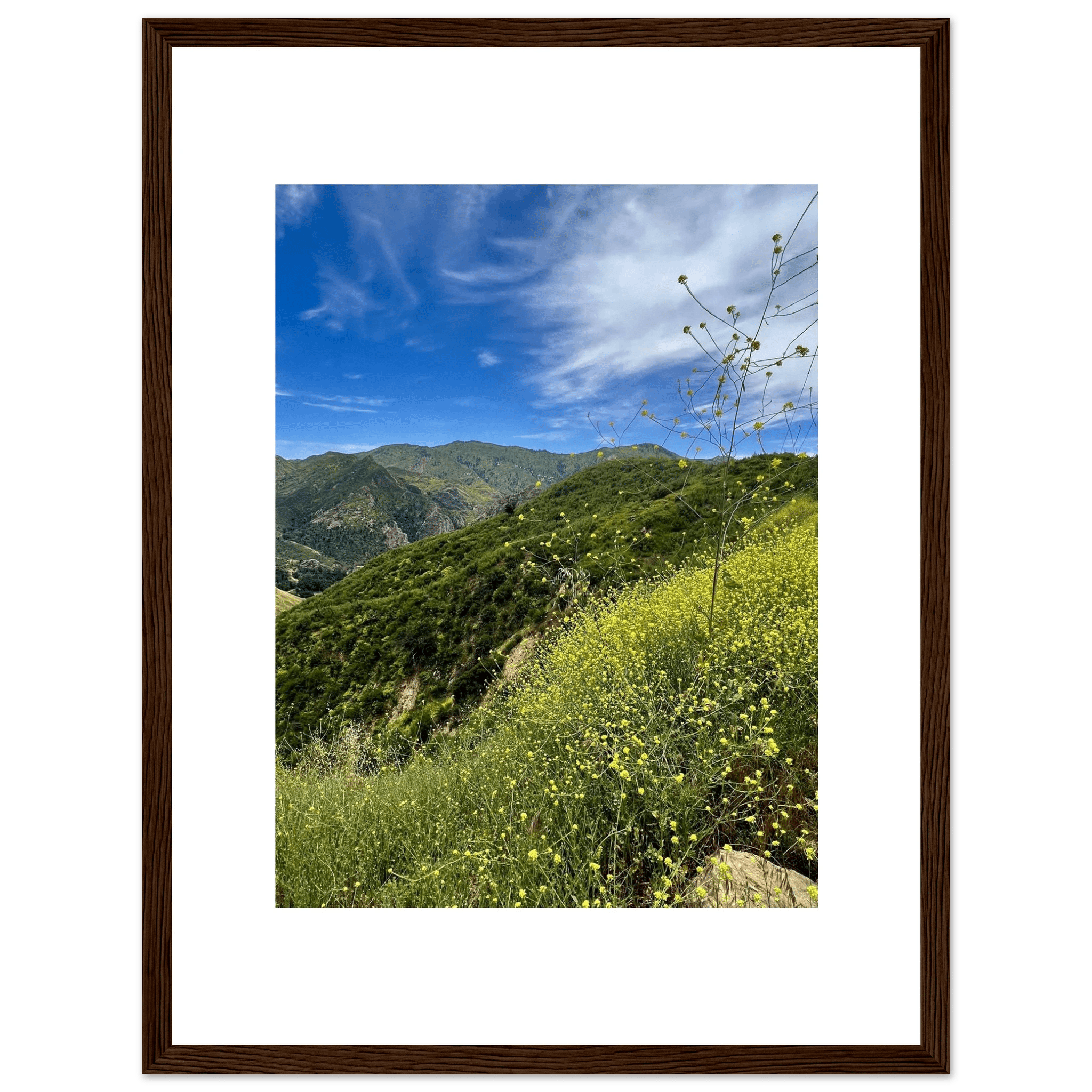 High-quality framed art print of Malibu Canyon in spring bloom wildflowers, California poster art by My Store, 15x20 cm.