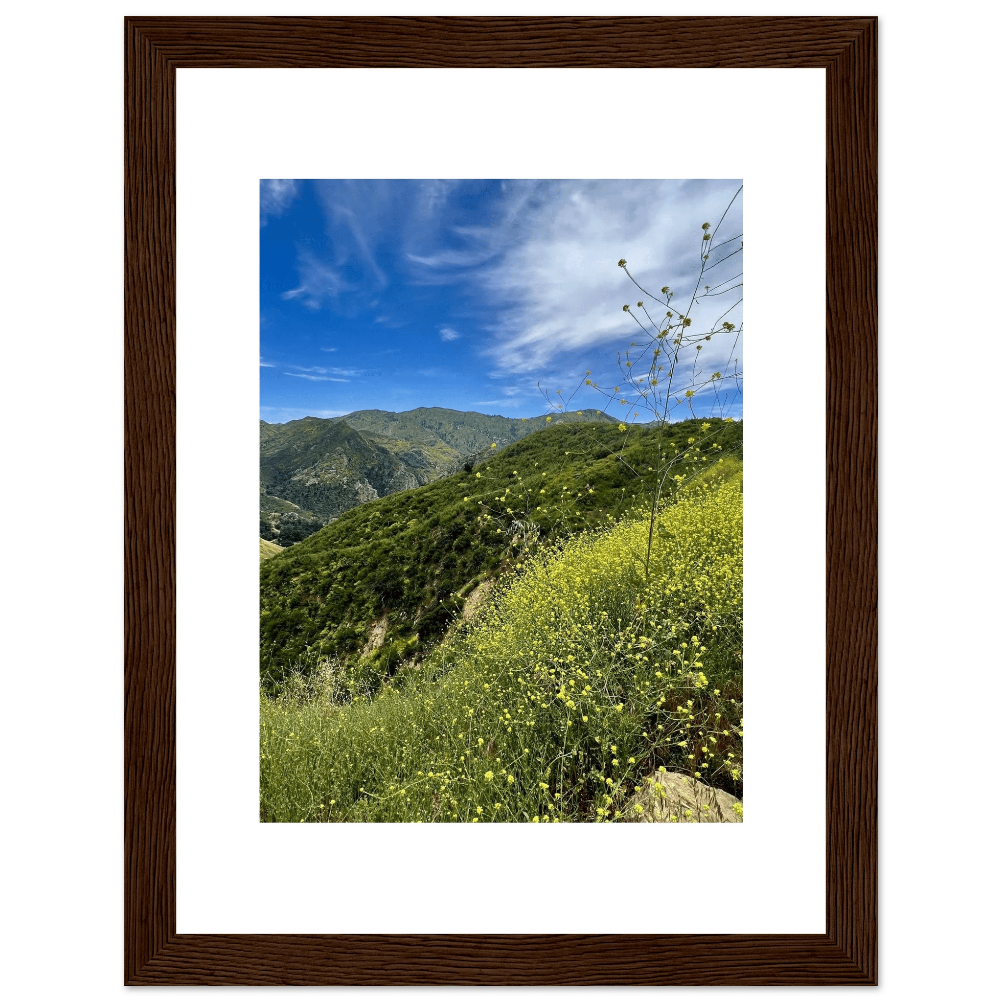 High-quality framed art print of Malibu Canyon in spring bloom with wildflowers, featuring vibrant California scenery.
