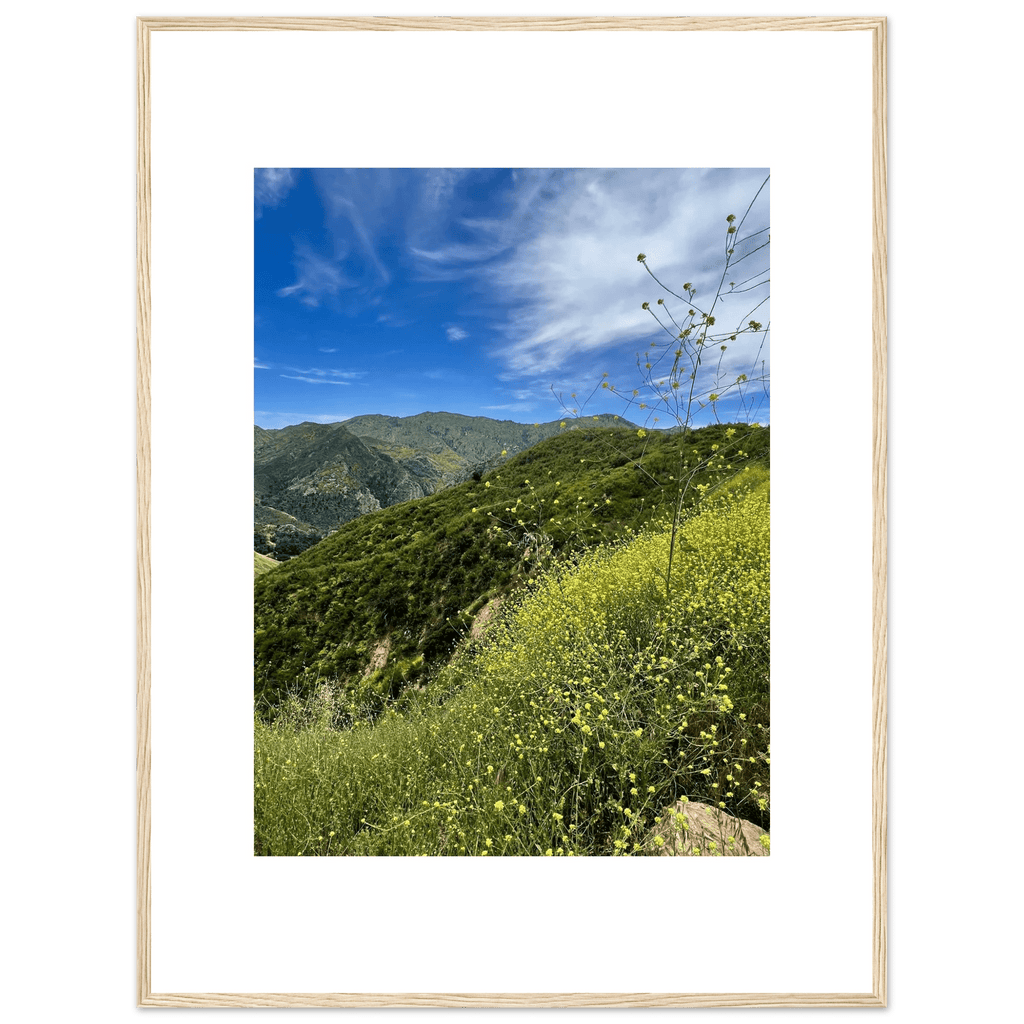 High-quality framed poster of Malibu Canyon wildflowers in spring, featuring vibrant California spring wall art with a white frame.
