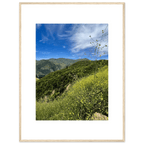 High-quality framed poster of Malibu Canyon wildflowers in spring, featuring vibrant California spring wall art with a white frame.