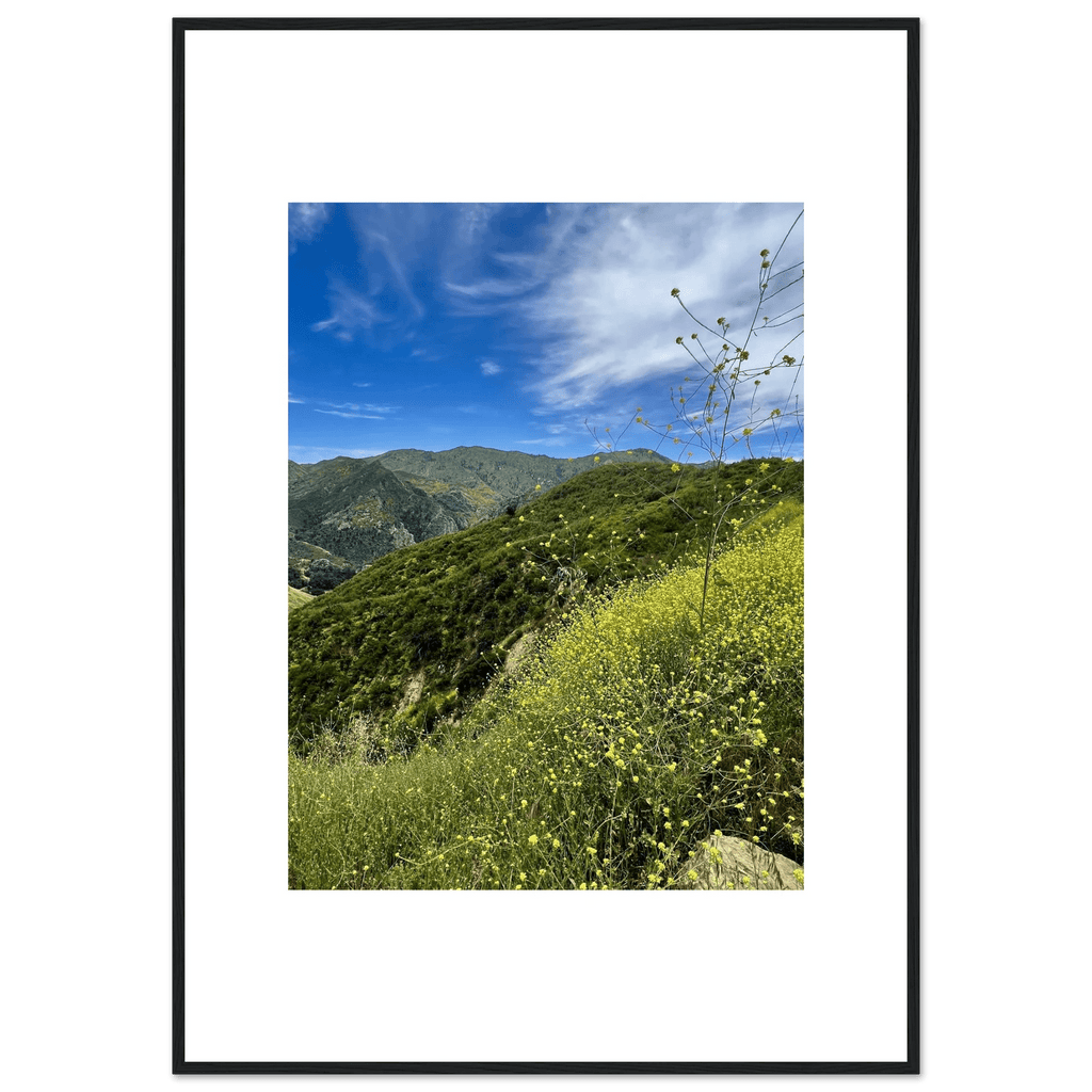 High-quality framed print of Malibu Canyon wildflowers in spring, showcasing California spring wall art with a white frame.
