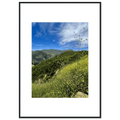 High-quality framed print of Malibu Canyon wildflowers in spring, showcasing California spring wall art with a white frame.