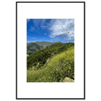 High-quality framed print of Malibu Canyon wildflowers in spring, showcasing California spring wall art with a white frame.