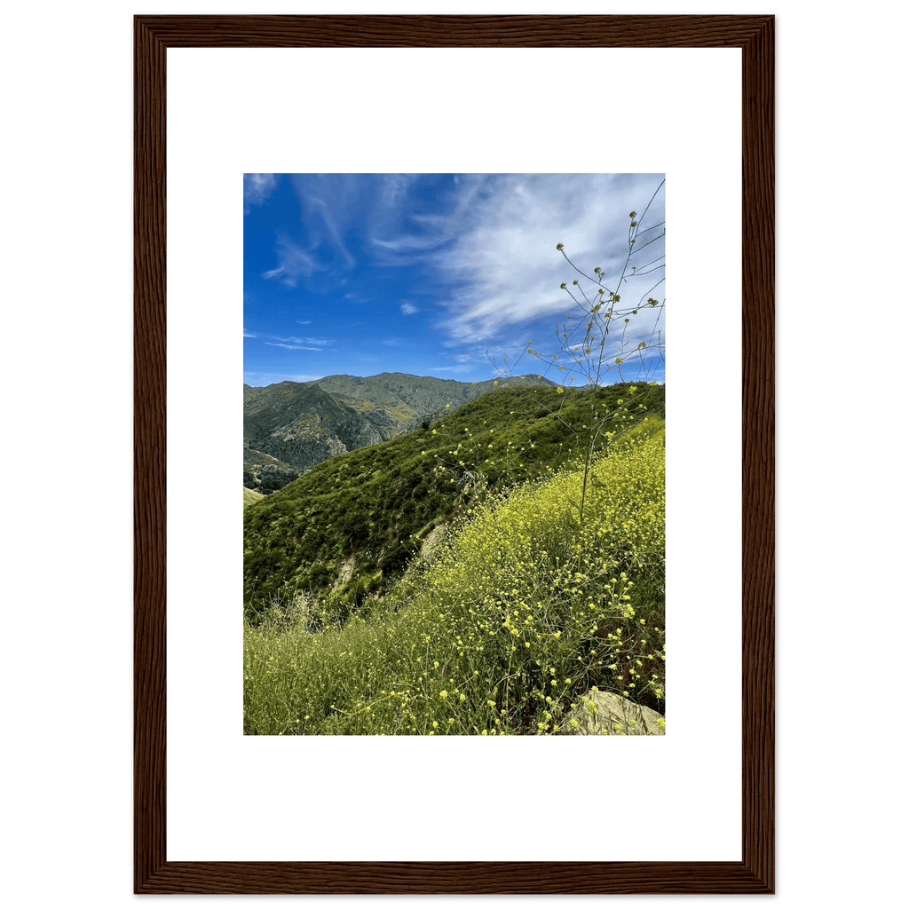 High-quality framed print of Malibu Canyon wildflowers in spring, showcasing California spring wall art with a white frame.