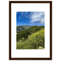 High-quality framed print of Malibu Canyon wildflowers in spring, showcasing California spring wall art with a white frame.