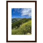 High-quality framed print of Malibu Canyon wildflowers in spring, showcasing California spring wall art with a white frame.