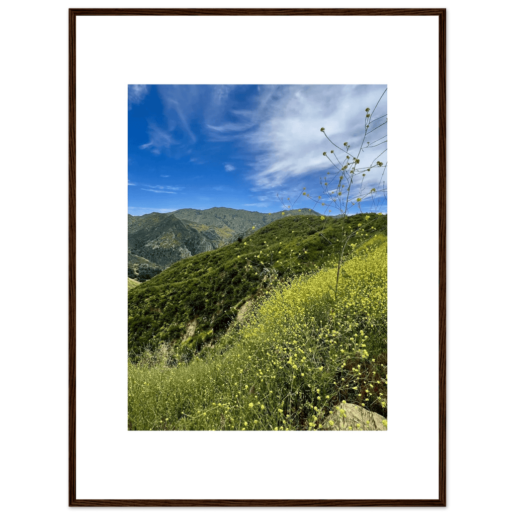 High-quality framed art print of Malibu Canyon in spring bloom wildflowers, California poster art by My Store, 15x20 cm.