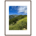 High-quality framed art print of Malibu Canyon in spring bloom wildflowers, California poster art by My Store, 15x20 cm.