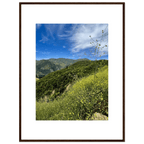 High-quality framed art print of Malibu Canyon in spring bloom wildflowers, California poster art by My Store, 15x20 cm.
