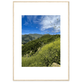 High-quality framed art print of Malibu Canyon in spring bloom wildflowers, featuring California poster art by My Store.
