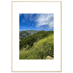 High-quality framed art print of Malibu Canyon in spring bloom wildflowers, featuring California poster art by My Store.