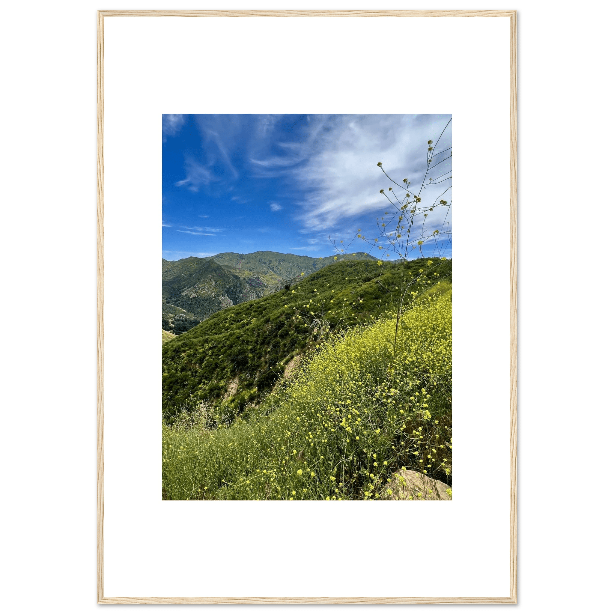 High-quality framed art print of Malibu Canyon in spring bloom wildflowers, showcasing vibrant California natural scenery.