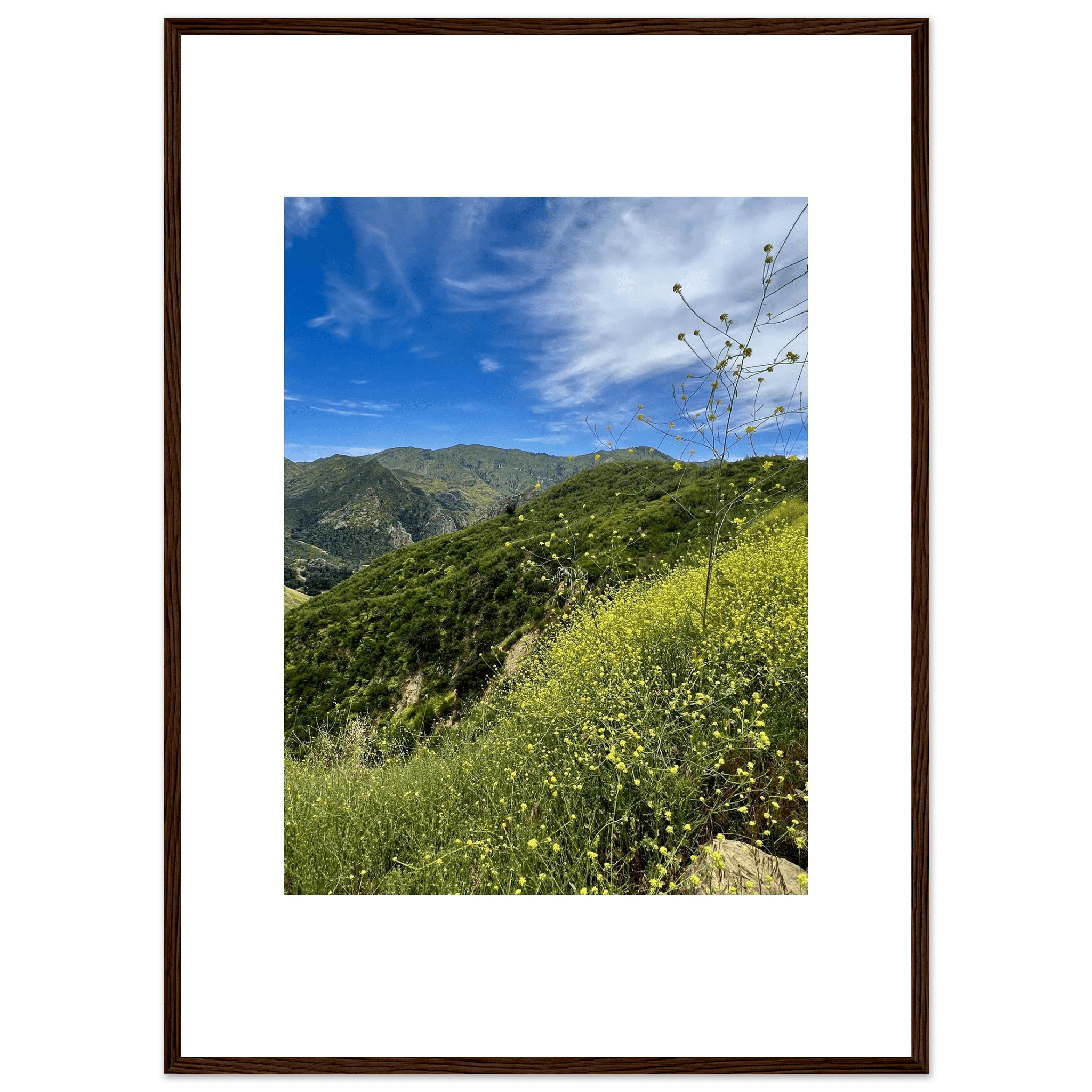 High-quality framed art print of Malibu Canyon in spring bloom wildflowers, featuring vibrant California landscape artwork.