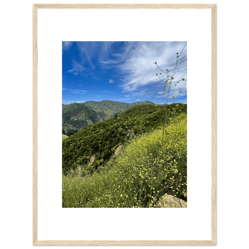 High-quality framed art print of Malibu Canyon in spring bloom wildflowers, showcasing California poster art in a white frame.