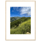High-quality framed art print of Malibu Canyon in spring bloom wildflowers, showcasing California poster art in a white frame.