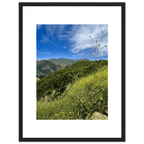 High-quality framed art print of Malibu Canyon in spring bloom wildflowers, California poster art in a white frame.