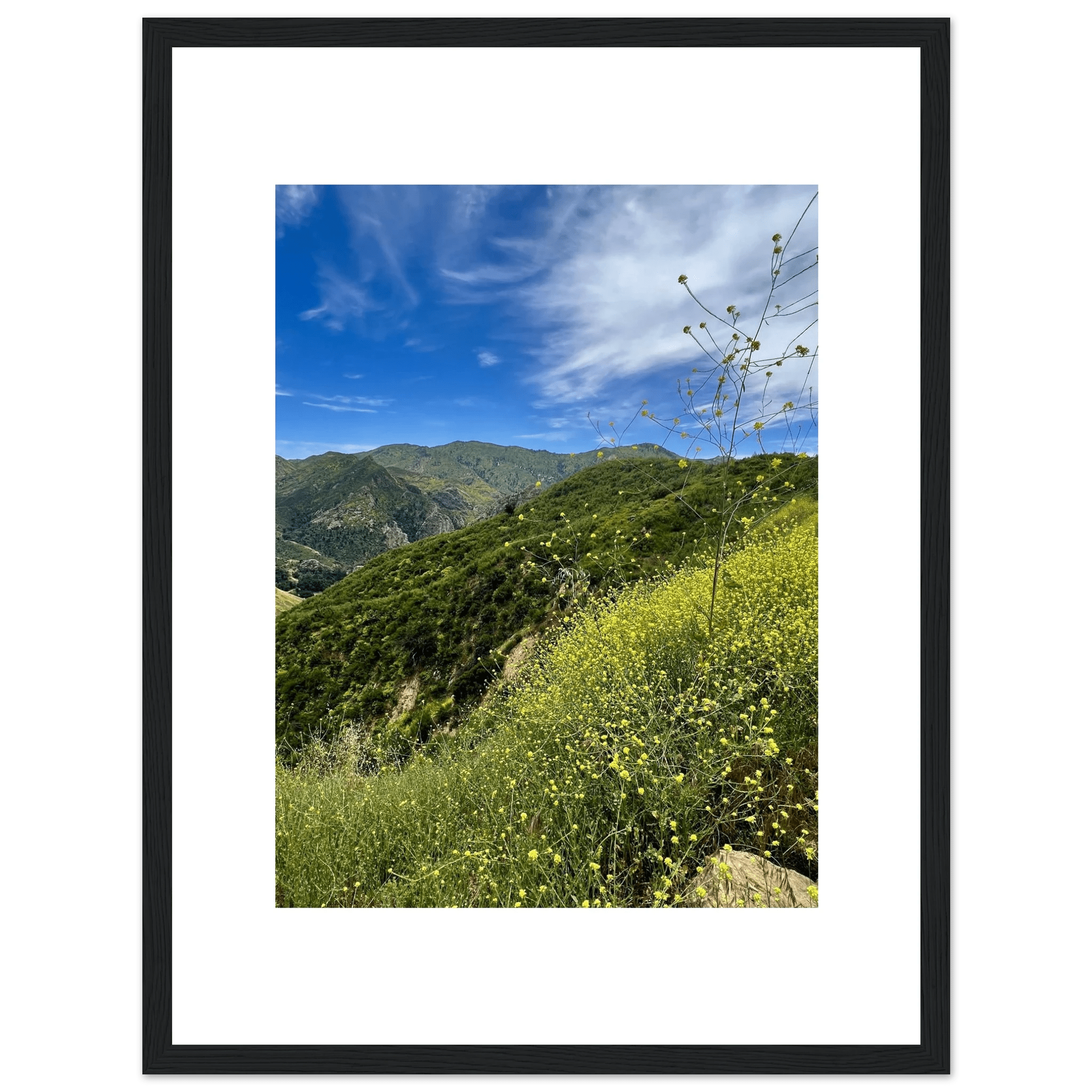 High-quality framed art print of Malibu Canyon in spring bloom wildflowers, California poster art in a white frame.