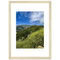 High-quality framed art print of Malibu Canyon in spring bloom wildflowers, California poster art by My Store, 15x20 cm.
