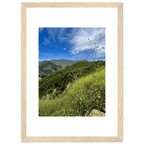 High-quality framed art print of Malibu Canyon in spring bloom wildflowers, California poster art by My Store, 15x20 cm.
