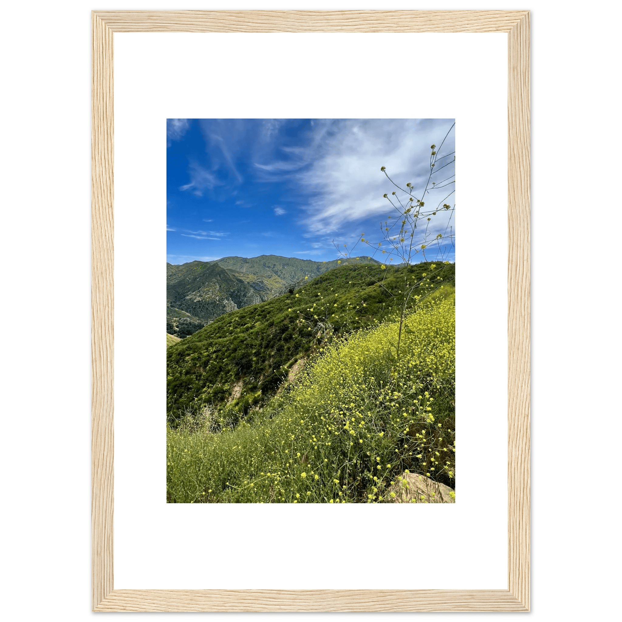 Framed art print of Malibu Canyon in spring bloom wildflowers, showcasing vibrant California landscape in high-quality print.