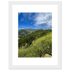 High-quality framed art print of Malibu Canyon in spring bloom with wildflowers, showcasing California poster art by My Store.