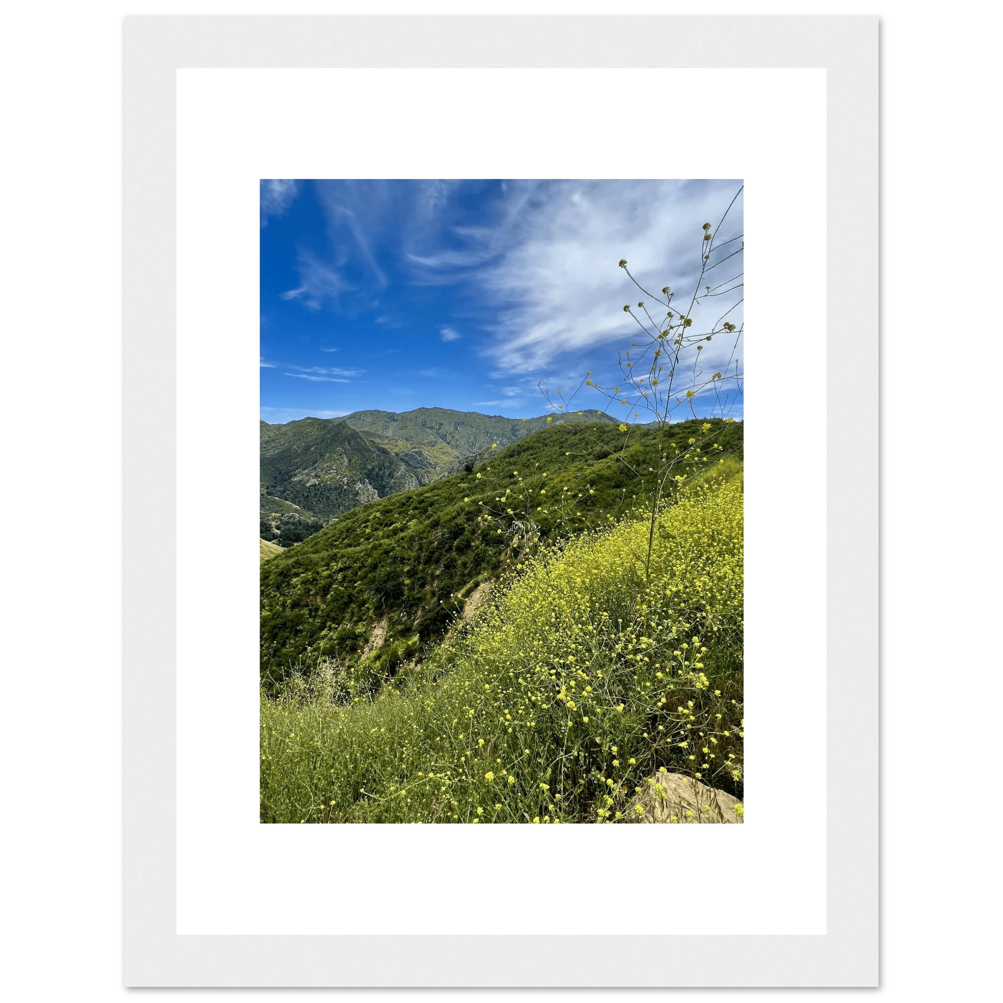 High-quality framed art print of Malibu Canyon in spring bloom wildflowers, showcasing California nature scene by My Store.