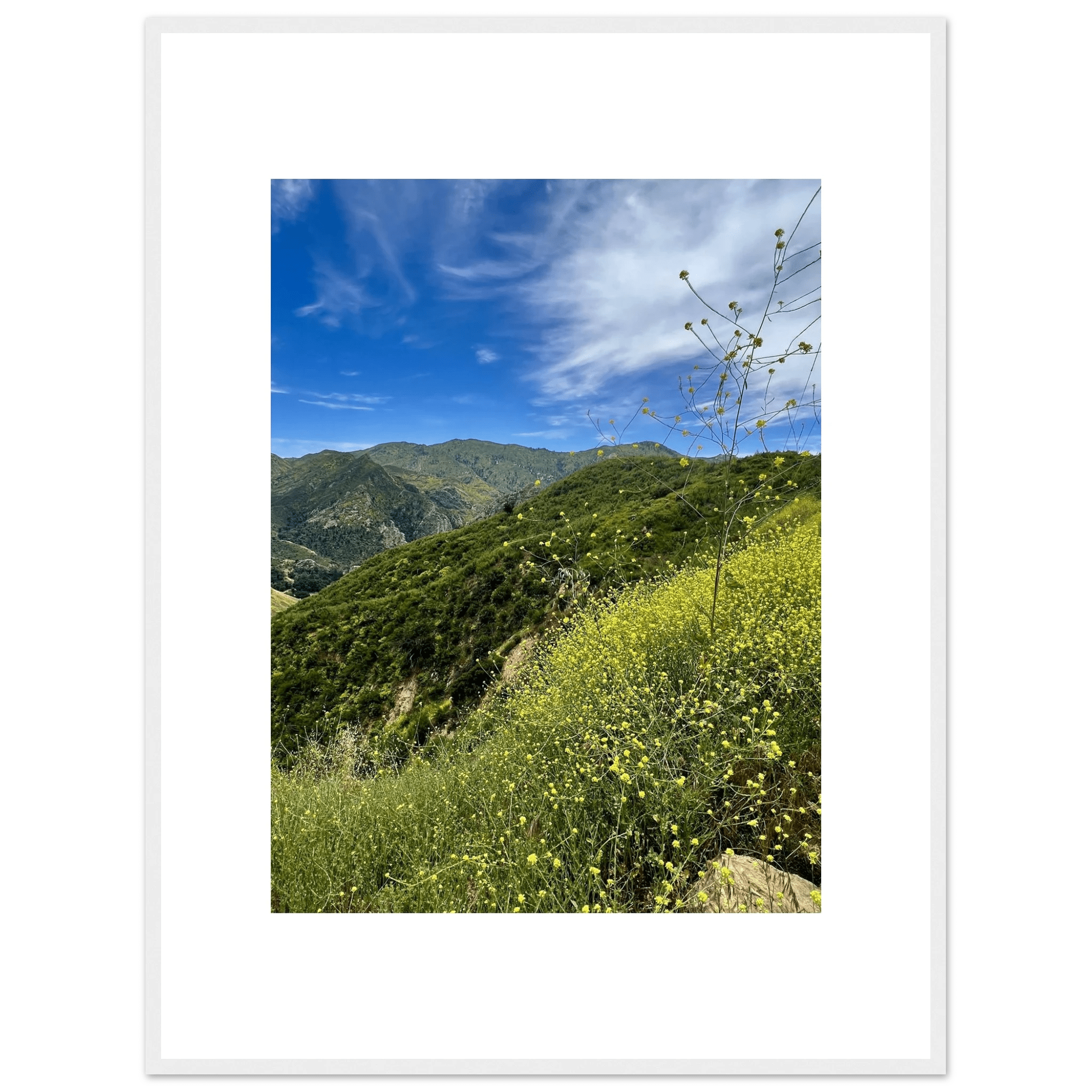 Framed art print of Malibu Canyon in spring bloom with wildflowers, California poster art, high-quality print by My Store.