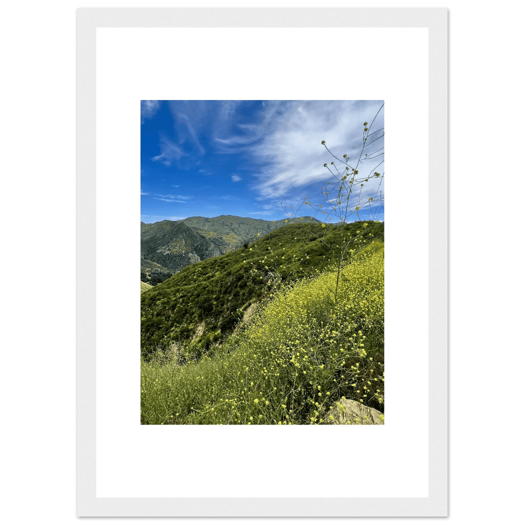 High-quality framed art print of Malibu Canyon in spring bloom wildflowers, featuring California poster art by My Store.