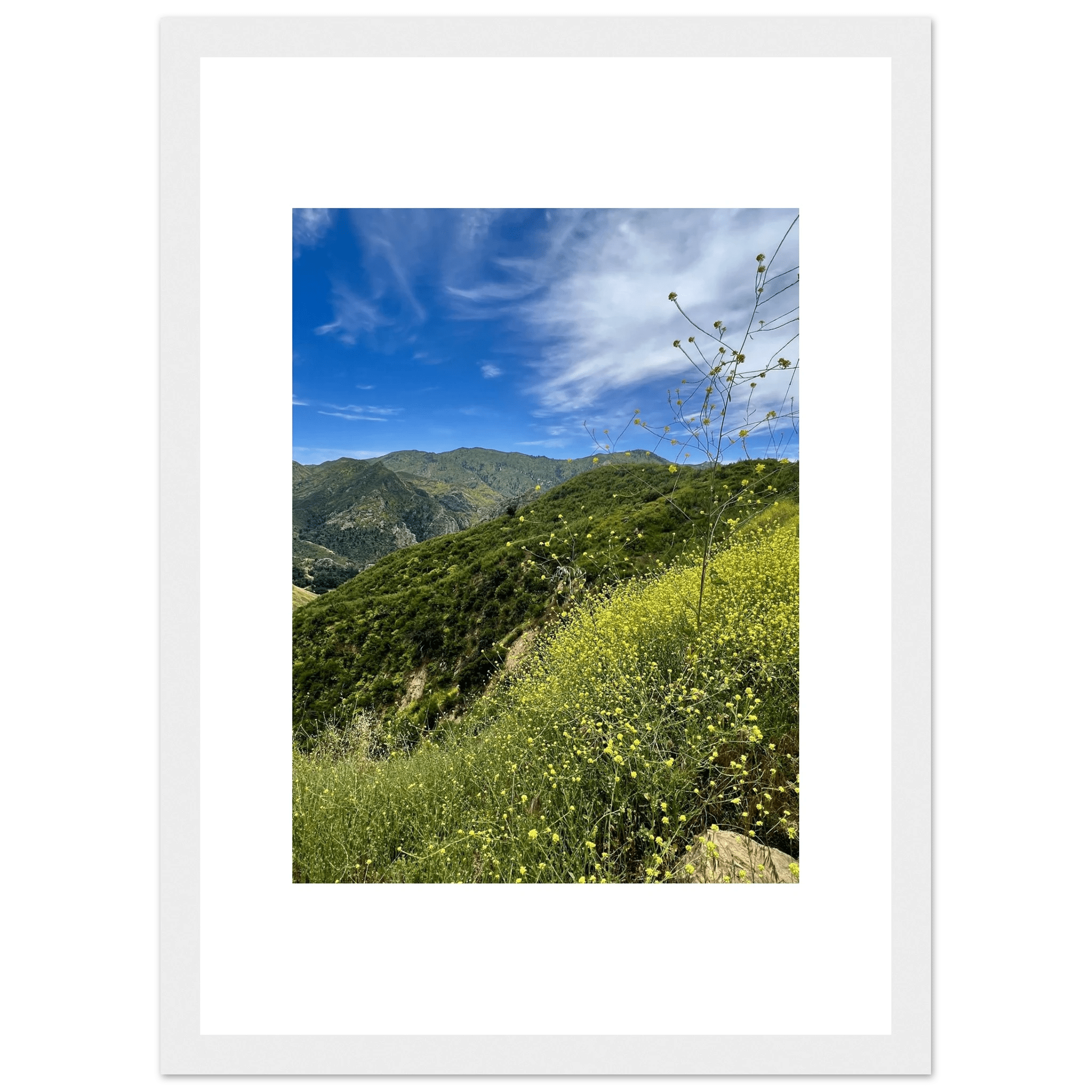 High-quality framed art print of Malibu Canyon in spring bloom with wildflowers, featuring vibrant California landscape artwork.