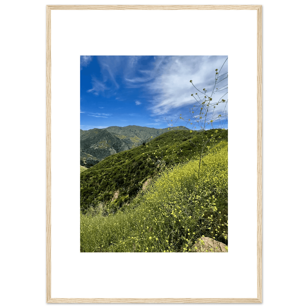 High-quality framed art print of Malibu Canyon in spring bloom wildflowers, featuring California poster art by My Store.
