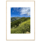 High-quality framed art print of Malibu Canyon in spring bloom wildflowers, featuring California poster art by My Store.