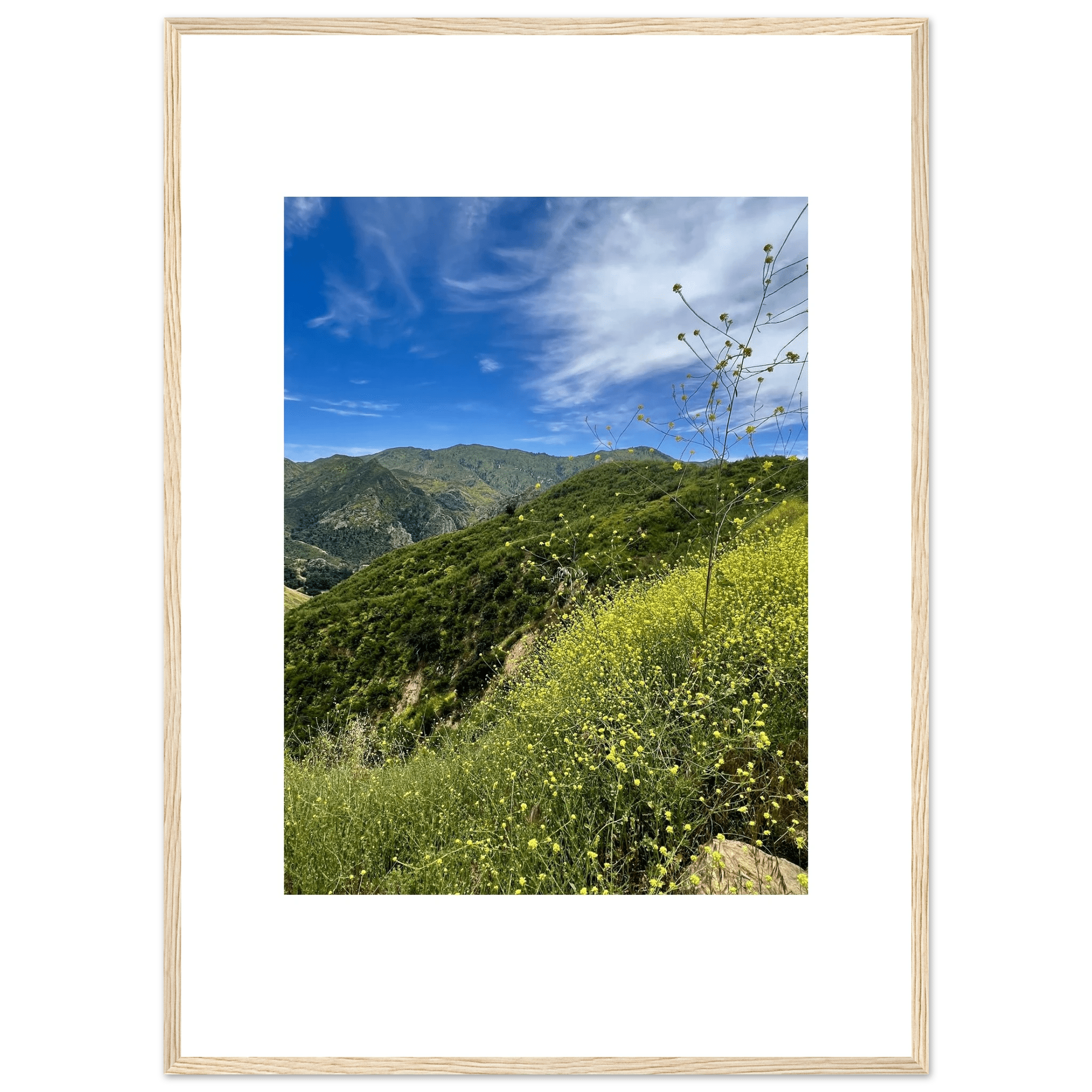 High-quality framed art print of Malibu Canyon in spring bloom wildflowers, showcasing vibrant California landscape artwork.