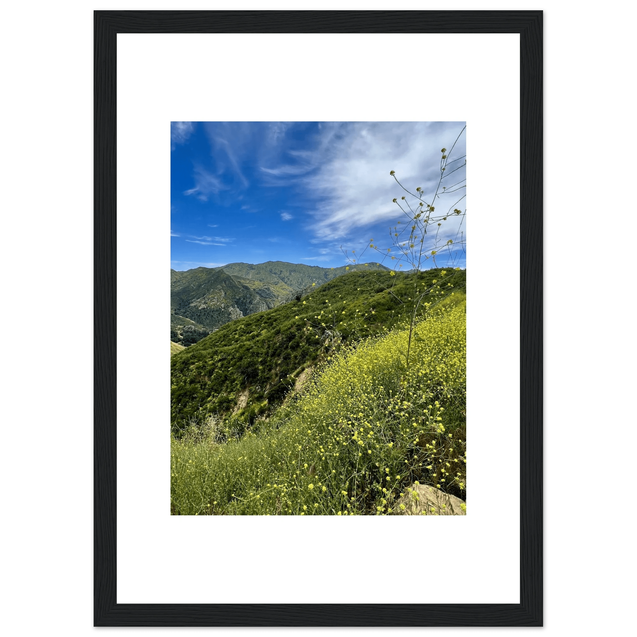 High-quality framed art print of Malibu Canyon in spring bloom wildflowers, showcasing vibrant California landscape artwork.
