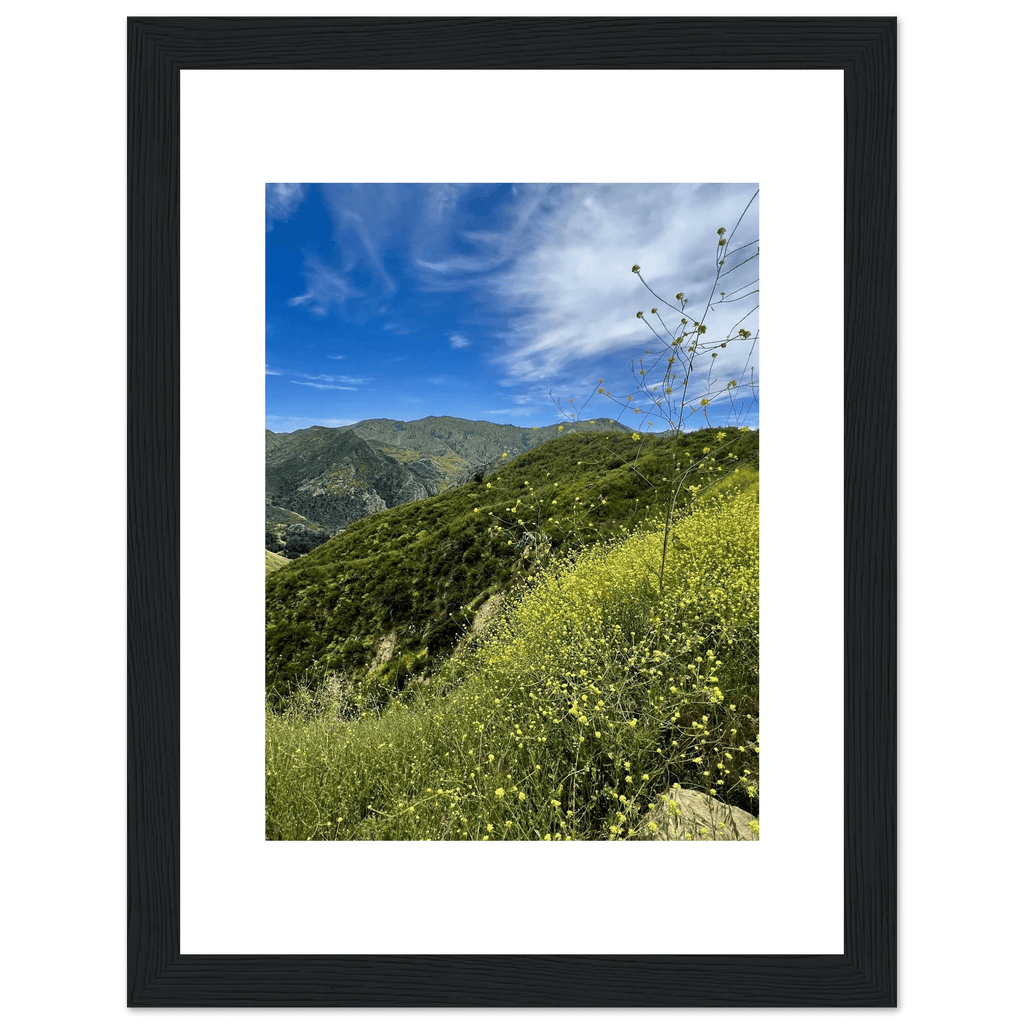 High-quality framed art print of Malibu Canyon in spring bloom wildflowers, California poster art by My Store, 6x8 inches.