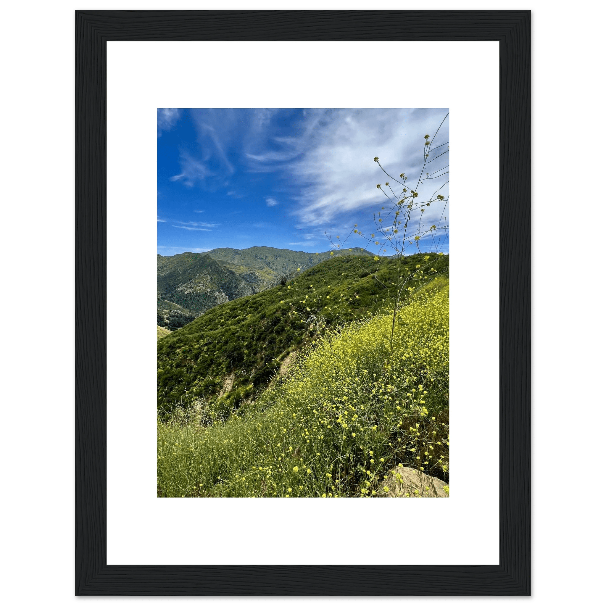Framed art print of Malibu Canyon in spring bloom wildflowers, California poster art by My Store, showcasing vibrant wildflower scenery.