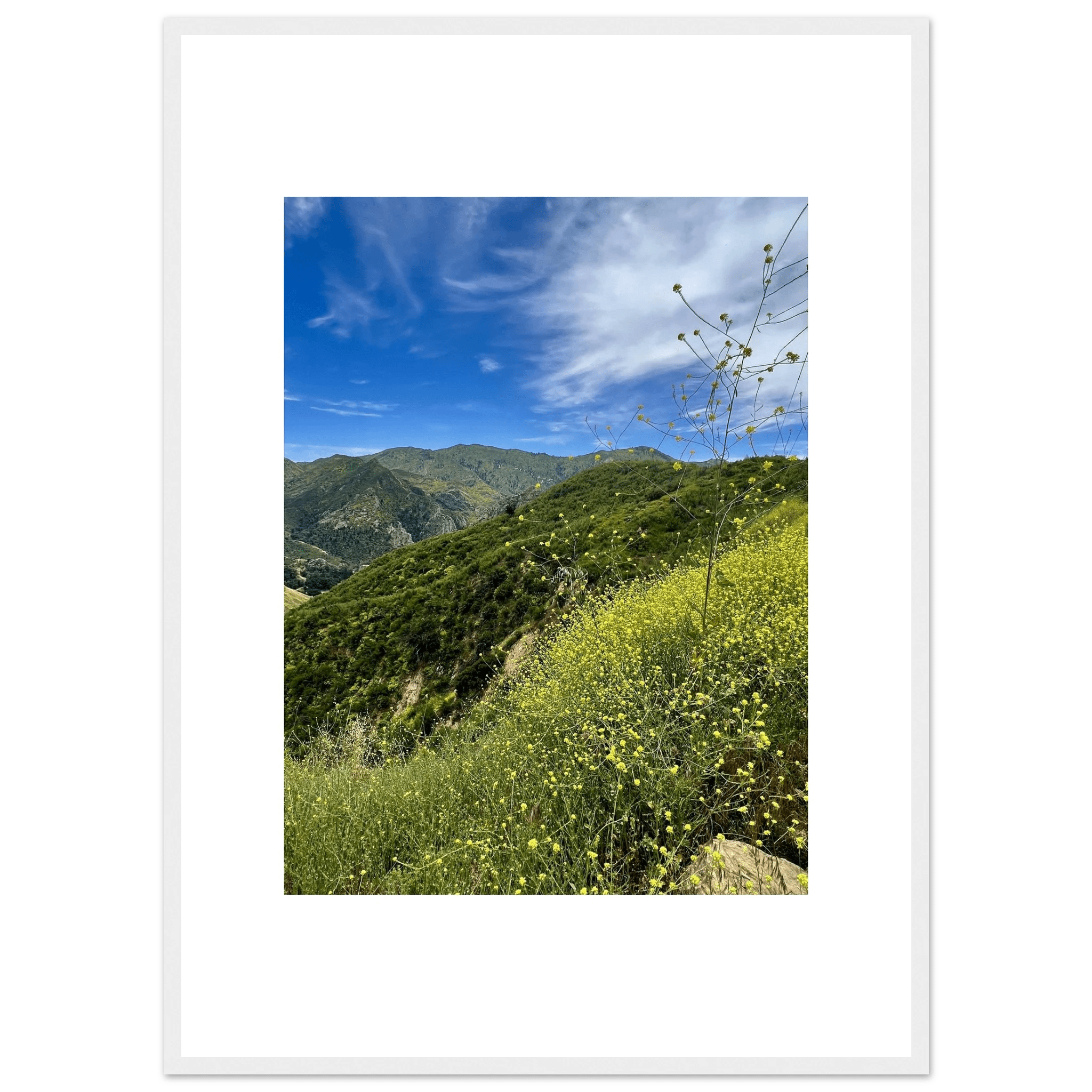 High-quality framed art print of Malibu Canyon in spring bloom wildflowers, showcasing vibrant California landscape artwork.