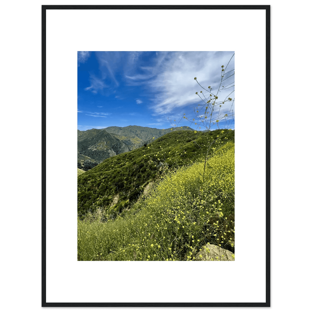High-quality framed art print of Malibu Canyon in spring bloom wildflowers, featuring California poster art by My Store.