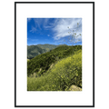 High-quality framed art print of Malibu Canyon in spring bloom wildflowers, featuring California poster art by My Store.