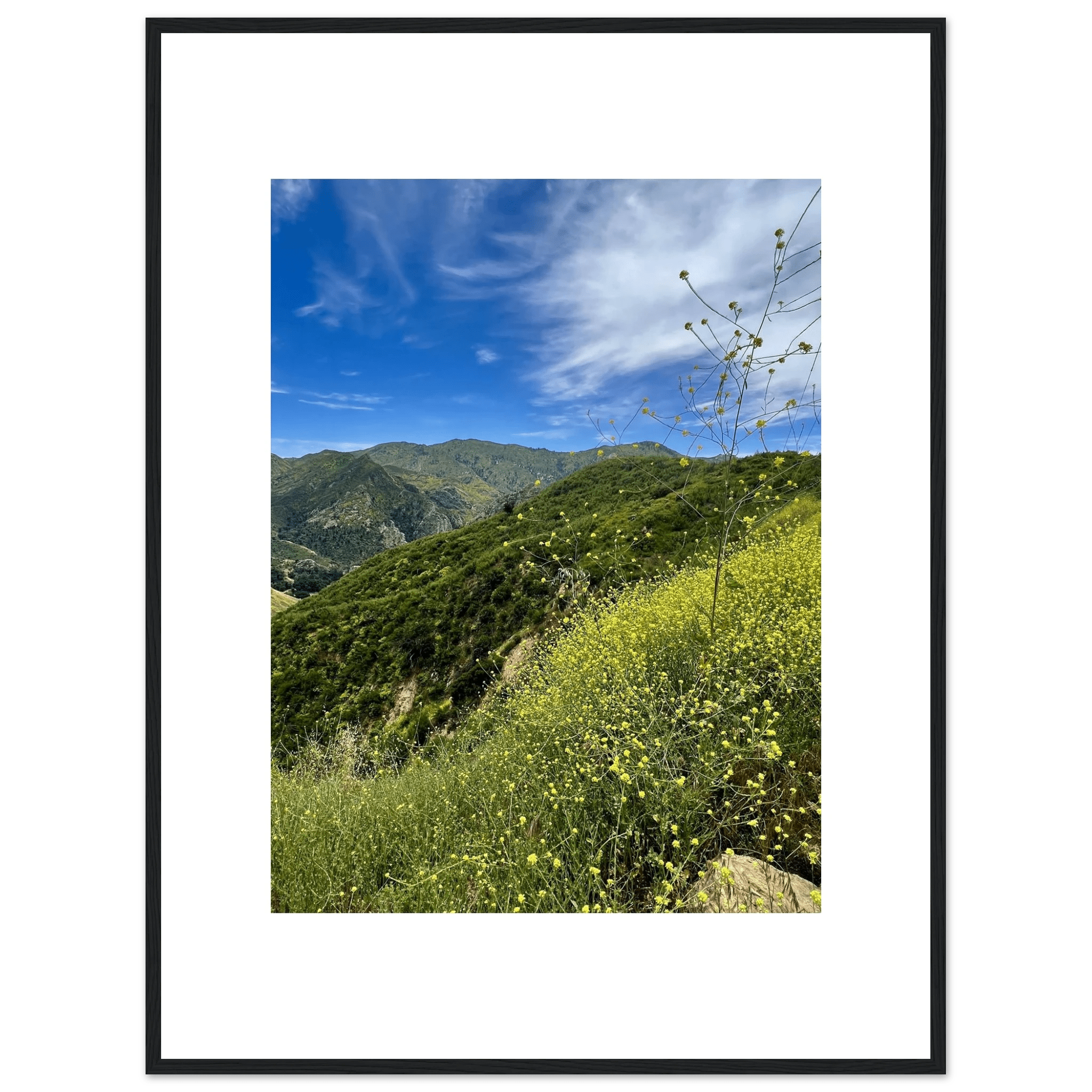 High-quality framed art print of Malibu Canyon in spring bloom wildflowers, showcasing California nature scene by My Store.