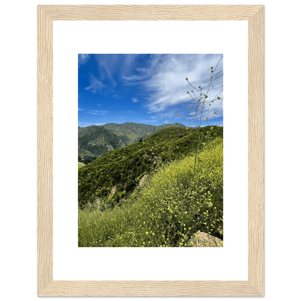 High-quality framed art print of Malibu Canyon in spring bloom wildflowers, featuring California poster art by My Store.