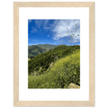 High-quality framed art print of Malibu Canyon in spring bloom wildflowers, featuring California poster art by My Store.