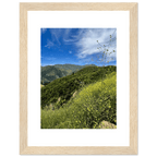 High-quality framed art print of Malibu Canyon in spring bloom wildflowers, featuring California poster art by My Store.