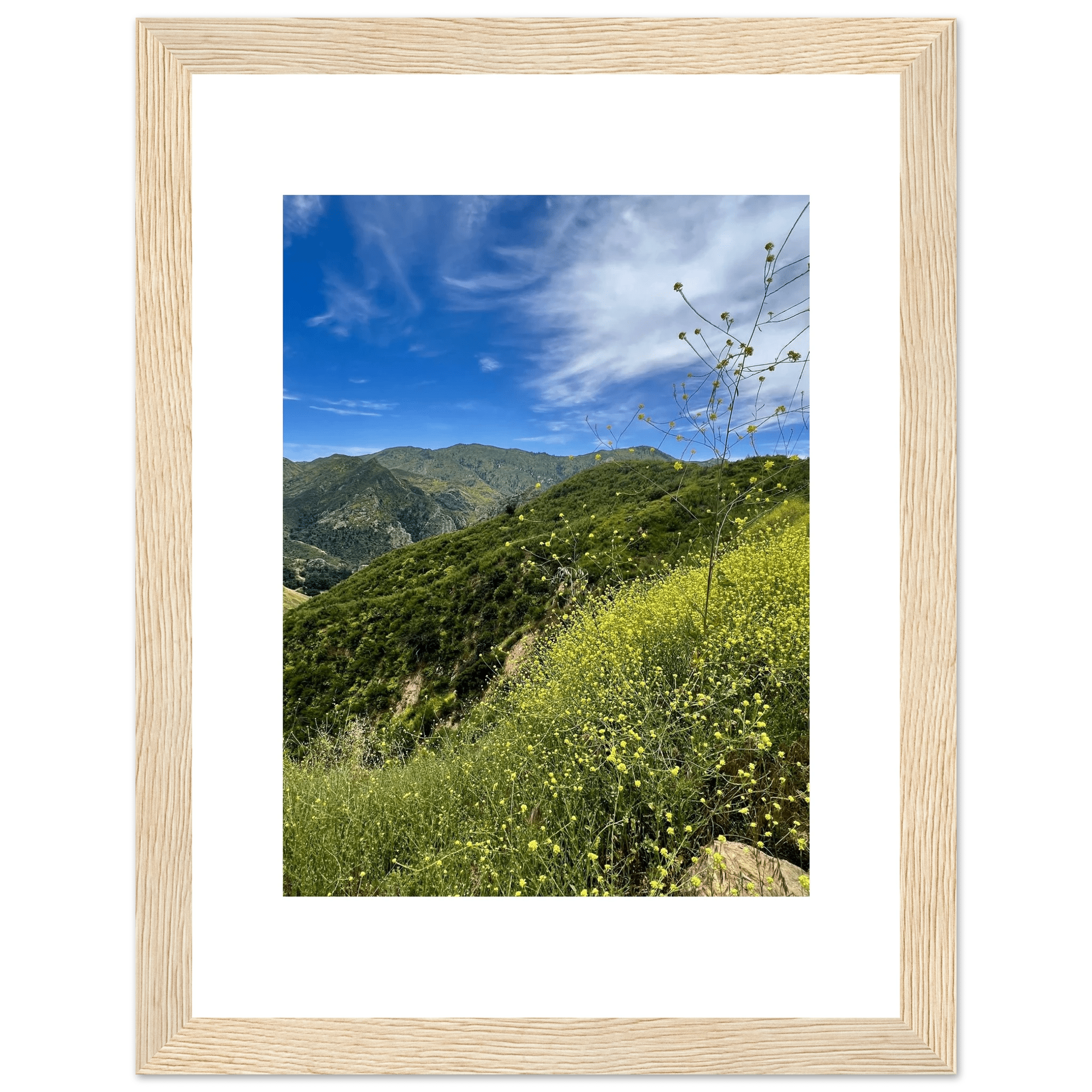 High-quality framed art print of Malibu Canyon in spring bloom wildflowers, featuring California landscape and vibrant floral details.