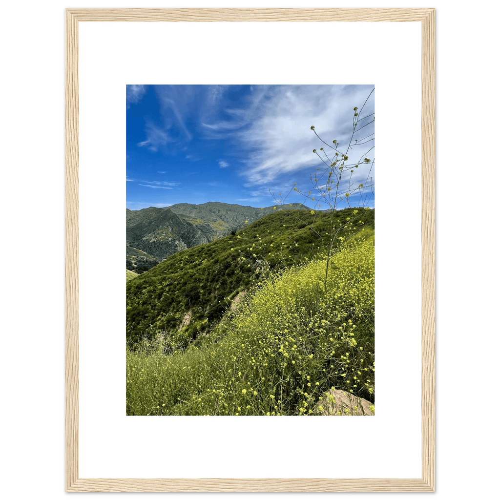 High-quality framed art print of Malibu Canyon in spring bloom wildflowers, featuring California poster art by My Store.