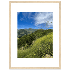 High-quality framed art print of Malibu Canyon in spring bloom wildflowers, featuring California poster art by My Store.