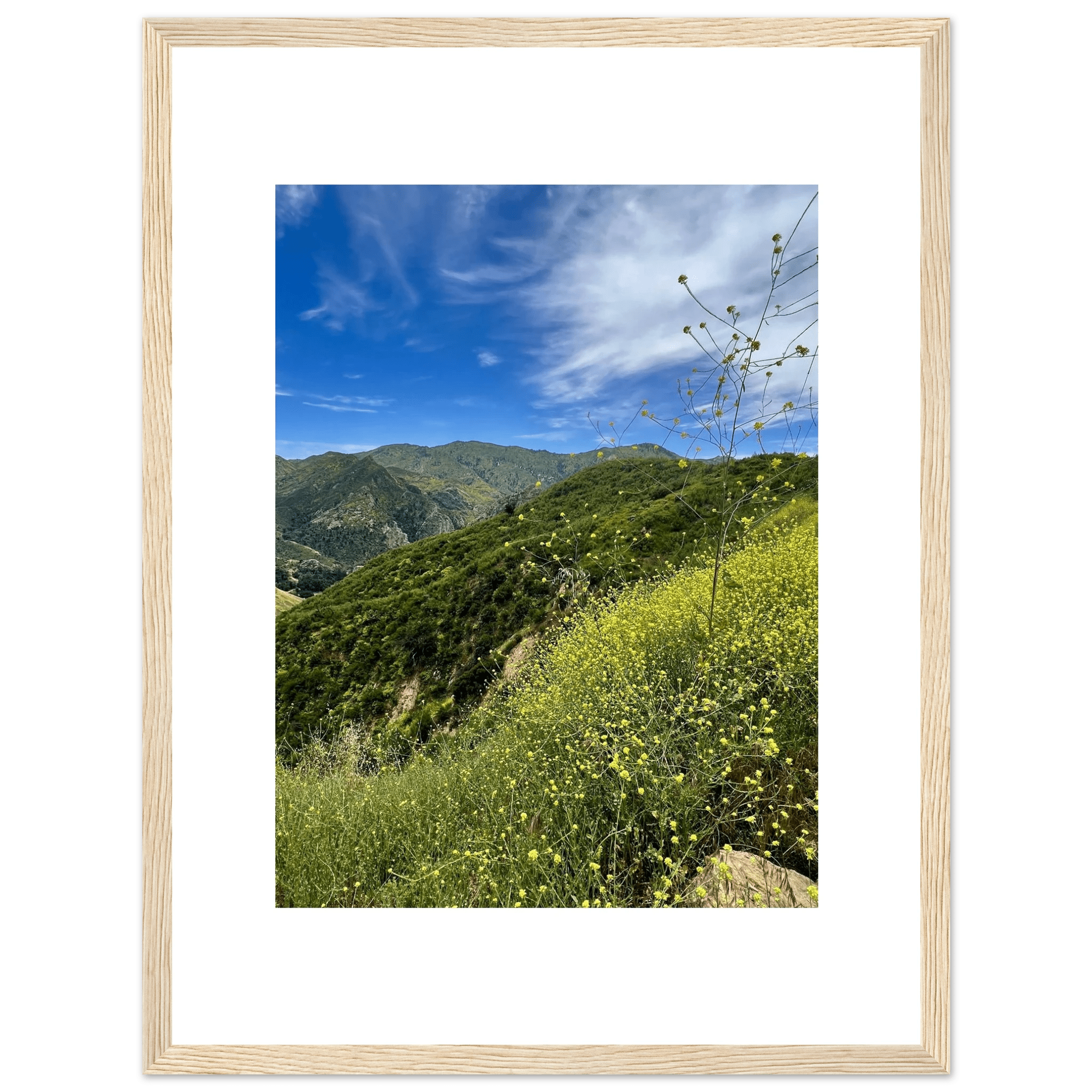 High-quality framed art print of Malibu Canyon in spring bloom wildflowers, featuring California poster art by My Store.