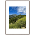 High-quality framed art print of Malibu Canyon in spring bloom wildflowers, California poster art by My Store, 15x20 cm.