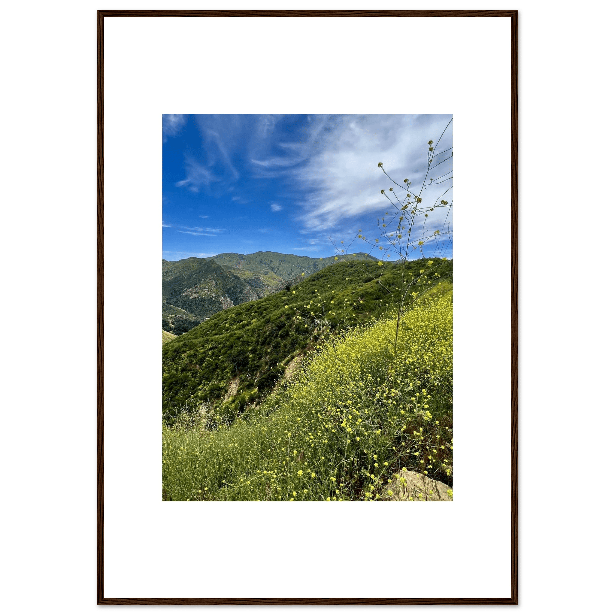 Framed art print of Malibu Canyon in spring bloom wildflowers, showcasing vibrant California wildflower scene by My Store.